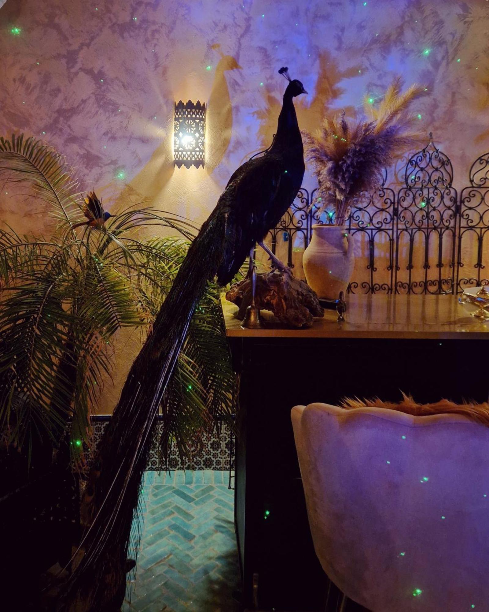Riad Agraba, 1001 Nights Lomm Extérieur photo